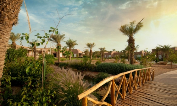 The Timeless Exploration to Al-Rayyan Farms & KAFD